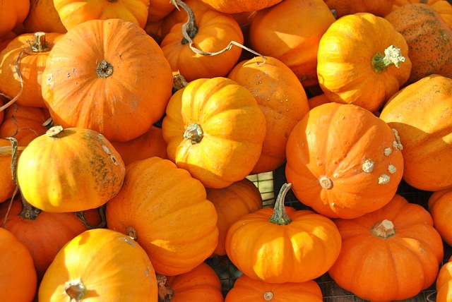 pumpkin-3103020_640